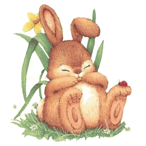Hop little bunnies
