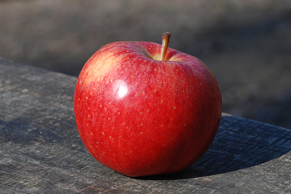 Вставьте there is или there are an apple on the table