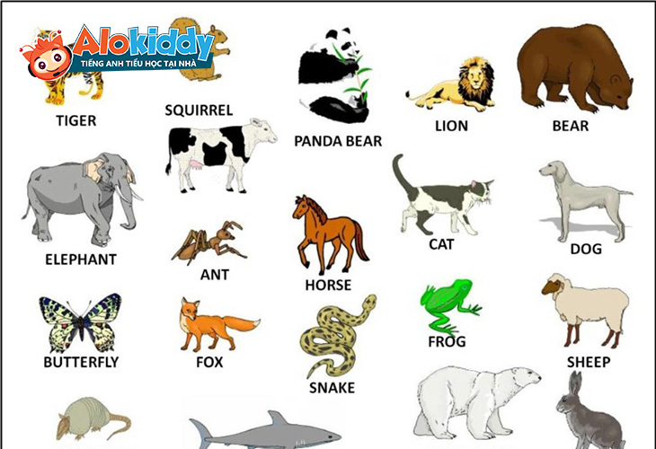 Bé học tiếng Anh chủ đề con vật mang lại nhiều lợi ích