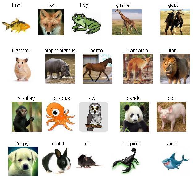 English by Picture phần mềm học tiếng Anh bằng hình ảnh cho trẻ em